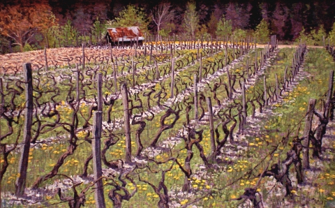 De wijngaarden van Prébois, olieverf, 24 x 38 cm, 5/2001, huile, Vigne de Prébois