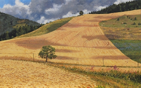 Col Accarias, olieverf, 25 x 40 cm, 8/2010, huile, Col Accarias