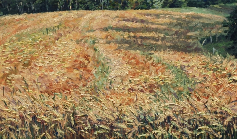 Korenveld in Villard Touage, olieverf, 18 x 31 cm, 7/2013, huile, Champ de blé à Villard Touage