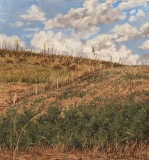 Berm, olieverf, 21 x 20 cm, 7/2003, huile, Herbes folles