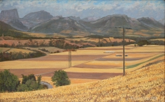De vlakte van Prébois, olieverf, 24 x 38 cm, 8/2003, huile, La plaine de Prébois