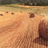 Rollen stro, olieverf, 35 x 35 cm, 8/2005, huile, Balles de paille