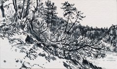 Villarnet, sumi-inkt, 24 x 40 cm, 10/2019, encre sumi, Villarnet