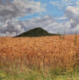 Serre de Milmaze, olieverf, 35 x 35 cm, 7/2011, huile, Serre de Milmaze