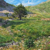 Voet van de Jocou, olieverf, 35 x 35 cm, 7/2012, huile, Le pied du Jocou