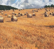 Balen stro, olieverf, 29 x 32 cm, 8/2012, huile, Balles de paille