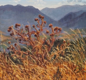 Distel op de Col du Thaud, olieverf, 19 x 21 cm, 8/2012, huile, Chardon sur le Col du Thaud