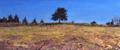 Ser de Villaret, olieverf, 19 x 46 cm, 3/2013, huile, Ser de Villaret