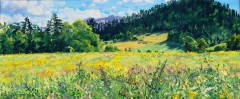 Col de Cornillon, olieverf, 19 x 46 cm, 7/2015, huile, Col de Cornillon