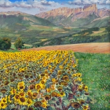De zonnebloemen van Louis, olieverf, 35 x 35 cm, 8/2015, huile, Les tournesols de Louis