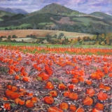 Pompoenen in St. Maurice, olieverf, 25 x 25 cm, 10/2015, huile, Champ de potirons à St. Maurice