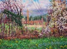 Villarnet, olieverf, 41 x 55 cm, 4/2017, huile, Villarnet