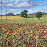 Zonnebloemen, olieverf, 35 x 35 cm, 8/2017, huile, Les tournesols de Louis