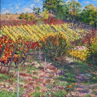 Wjnvelden,  olieverf, 35 x 35 cm, 10/2021, huile, Vignobles Prébois