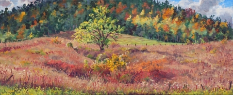 Col Accarias, olieverf, 19 x 46 cm, 10/2021, huile, Col Accarias