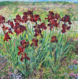Irissen, olieverf, 30 x 30 cm, 5/2025, huile,  Des iris