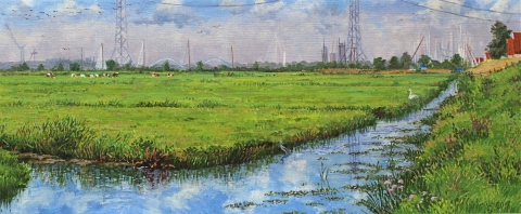 Polder IJdoorn, olieverf, 19 x 46 cm, 9/2008, huile, Polder IJdoorn