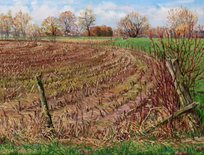 Maisveld bij Vianen, olieverf, 32 x 42 cm, 3/2012, huile, Environs de Vianen