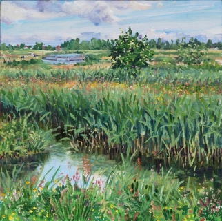 Het Twiske, olieverf, 30 x 30 cm, 5/2020, huile, Het Twiske