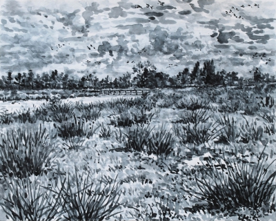 Het Twiske, Landsmeer, sumi-inkt , 24 x 30 cm, 10/2020, encre sumi, Polder Landsmeer