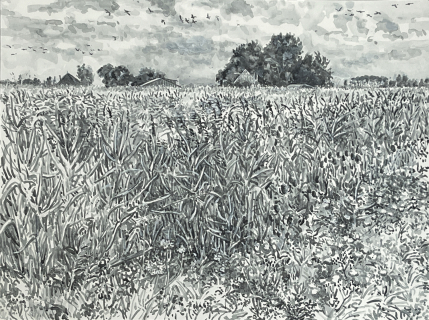 Vogelmeerpolder, sumi-inkt, 30 x 40 cm, 8/2025, encre sumi,  Vogelmeerpolder