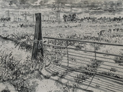 Waterland bij Zunderdorp, sumi-inkt, 30 x 40 cm, 8/2025, encre sumi,  Waterland