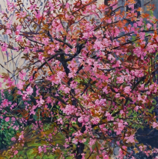 Prunus in bloei, Suikerbakkerssteeg, A’dam, olieverf, 34 x 34 cm, 5/2016, huile, Amsterdam