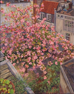 De tuin van de buren, Amsterdam,  olieverf,  50 x 40 cm, 4/2020, huile, Amsterdam