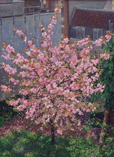 Prunus in bloei, Suikerbakkerssteeg, A’dam, olieverf, 55 x 40 cm, 5/2013, huile, Amsterdam