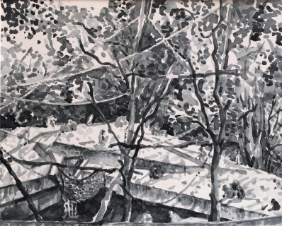 Apenrots in Artis, sumi inkt, 24 x 30 cm, 9/2018, encre sumi, Zoo d'Amsterdam