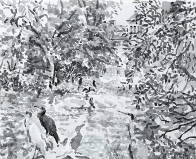 Aalscholvers en reigers in Artis, sumi inkt, 24 x 30 cm, 9/2018, encre sumi, Zoo d'Amsterdam