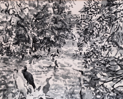 Aalscholvers en reigers in Artis, sumi inkt, 24 x 30 cm, 9/2018, encre sumi, Zoo d'Amsterdam