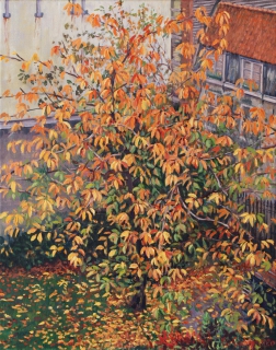 Herfst in Amsterdam, olieverf, 50 x 40 cm, 11/2020, huile, Automne à Amsterdam