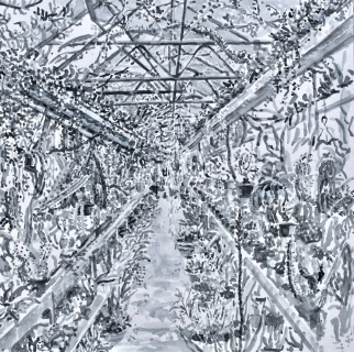 Botanische Tuin Zuidas, sumi-inkt, 30 x 30 cm, 2023, encre sumi, Jardin Botanique