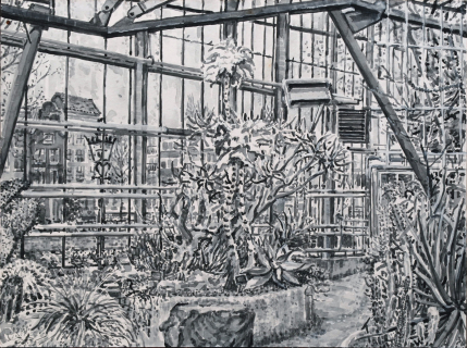 Hortus Botanicus Amsterdam, sumi-inkt, 30 x 40 cm, 3/2023, encre sumi, Hortus Botanicus Amsterdam