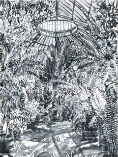 Hortus Botanicus Amsterdam, sumi-inkt, 40 x 30 cm, 4/2023, encre sumi, Hortus Botanicus Amsterdam