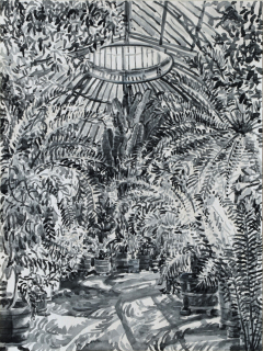 Hortus Botanicus Amsterdam, sumi-inkt, 40 x 30 cm, 4/2023, encre sumi,  Hortus Botanicus Amsterdam