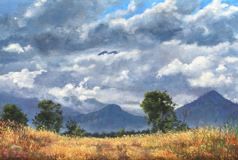 De top van de Grd Ferrand, olieverf, 22 x 32 cm, 7/2010, huile, La tête du Grd Ferrand