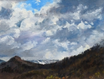 De eerste sneeuw, olieverf, 19 x 25 cm, 10/2012, huile, Première neige sur le Menil