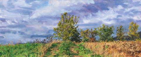 Serre Bertras, olieverf, 19 x 46 cm, 10/2012, huile, Serre Bertras