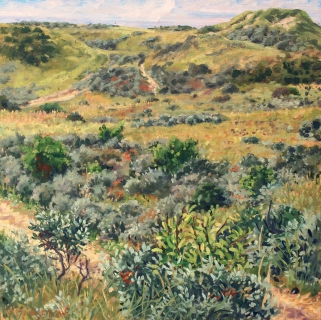 Duin bij Castricum, olieverf, 30 x 30 cm, 8/2016, huile, Les dunes à Castricum