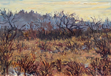 Duinen bij Castricum, olieverf, 18 x 26 cm, 2/2017, huile, Les dunes à Castricum