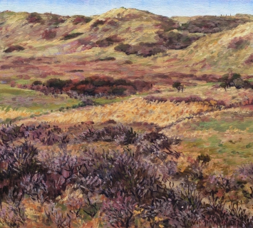 Sandervlak - Castricum, olieverf, 29 x 32 cm, 3/2017, huile, Les dunes à Castricum