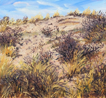 Duin bij Castricum, olieverf, 25 x 27 cm, 3/2017, huile, Les dunes à Castricum