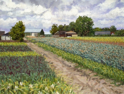 Uitgebloeid bollenveld bij Egmond, olieverf, 19 x 25 cm, 6/2006, huile, Bulbes fanées à Egmond