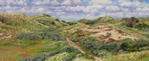 Duinen bij Egmond, olieverf, 19 x 46 cm, 6/2009, huile, Dunes à Egmond