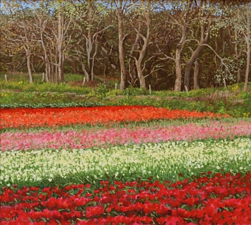 Tulpenveld in Castricum, , 4/2010, olieverf, 29 x 32 cm, huile, Champ de tulipes à Castricum