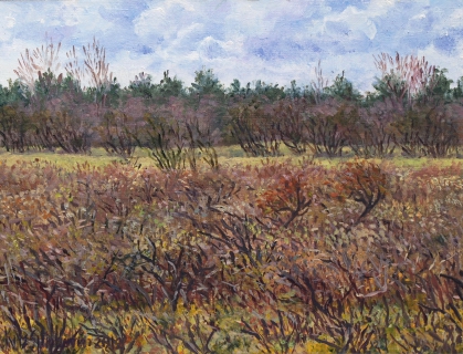 Wei van Brasser - Castricum, olieverf, 19 x 25 cm, 4/2012, huile, Castricum