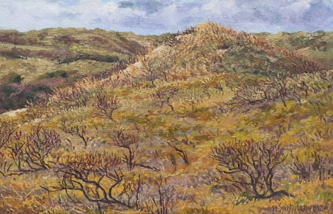 Duinen bij Bakkum, olieverf, 24 x 38 cm, 4/2012, huile, Dunes à Bakkum