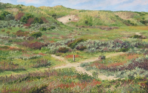 Duinen bij Castricum, olieverf, 24 x 38 cm, 6/2012, huile, Dunes à Castricum